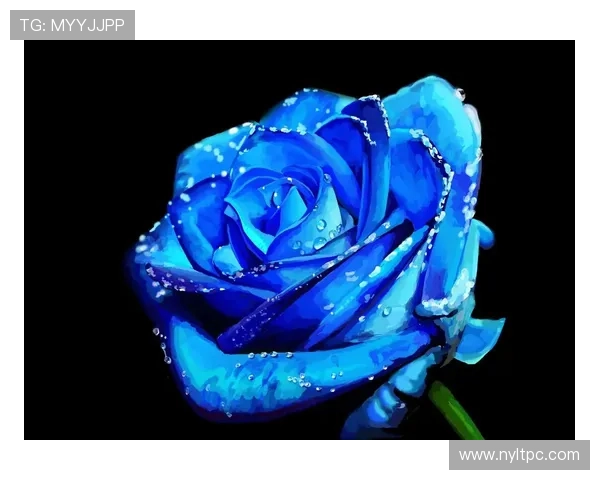 《蓝色妖姬》:一场关于爱与守护的蓝色梦境